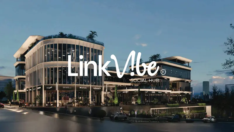 Link Vibe Social Hub